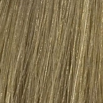 Стойкая профессиональная краска для волос - Goldwell Topchic Hair Color Coloration 8NN (Светло-русый экстра)
